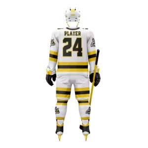 Ice hockey Uniform DZ # 481
